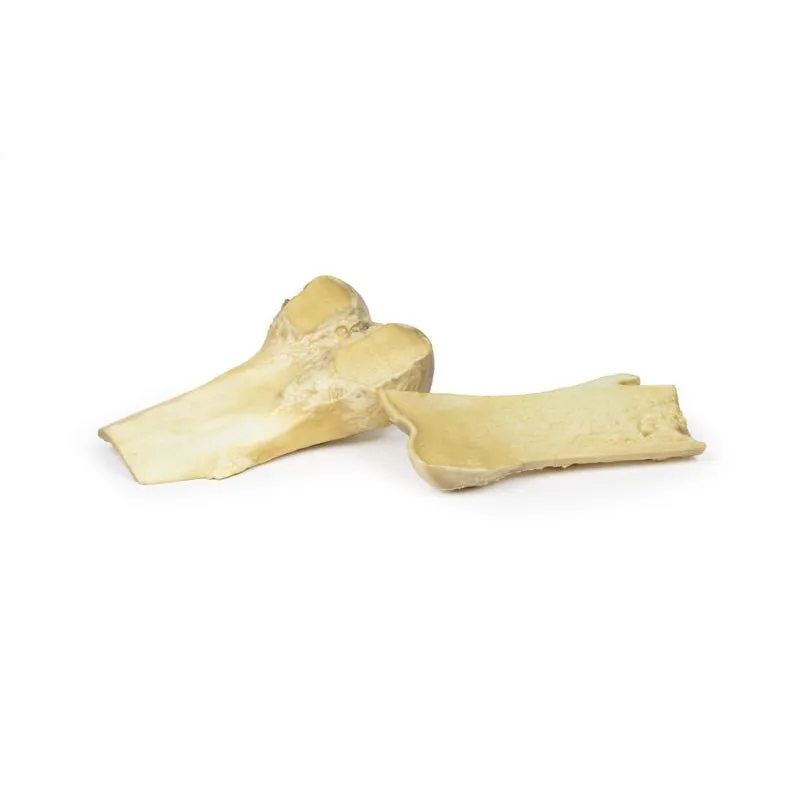Optimized 3D Printed Model of Osteochondroma for Educational Use