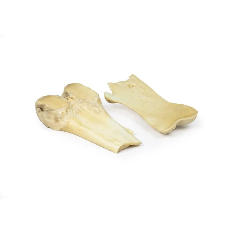 Optimized 3D Printed Model of Osteochondroma for Educational Use