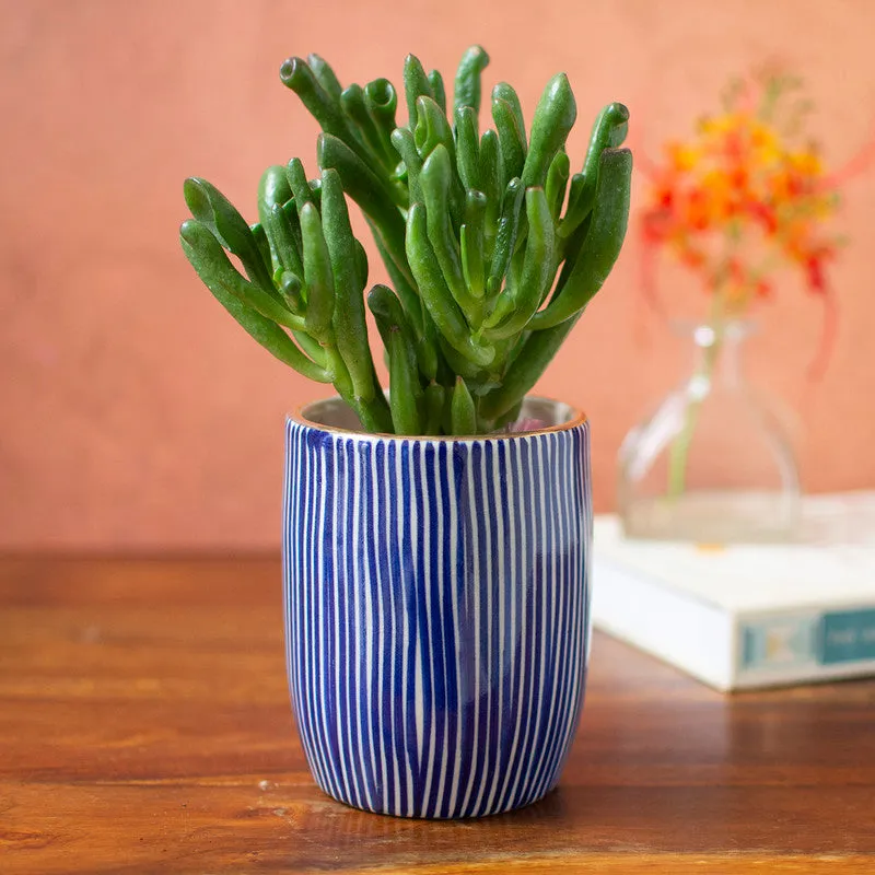 Ceramic Tabletop Planter | Blue