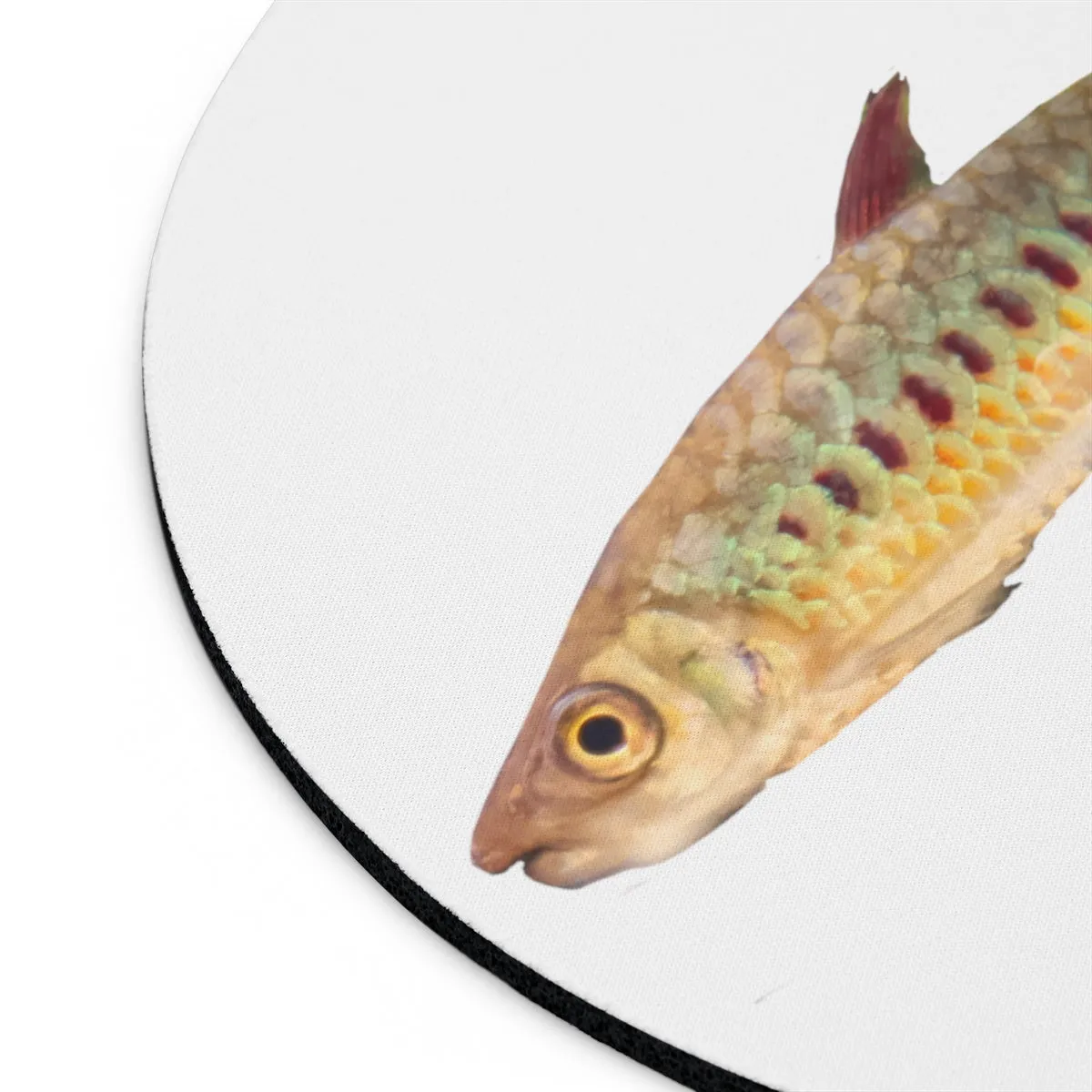 Colorful Fish Mouse Pad