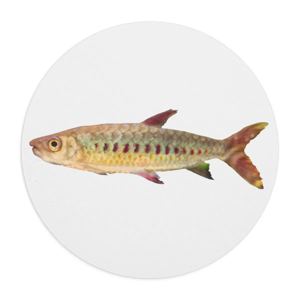 Colorful Fish Mouse Pad