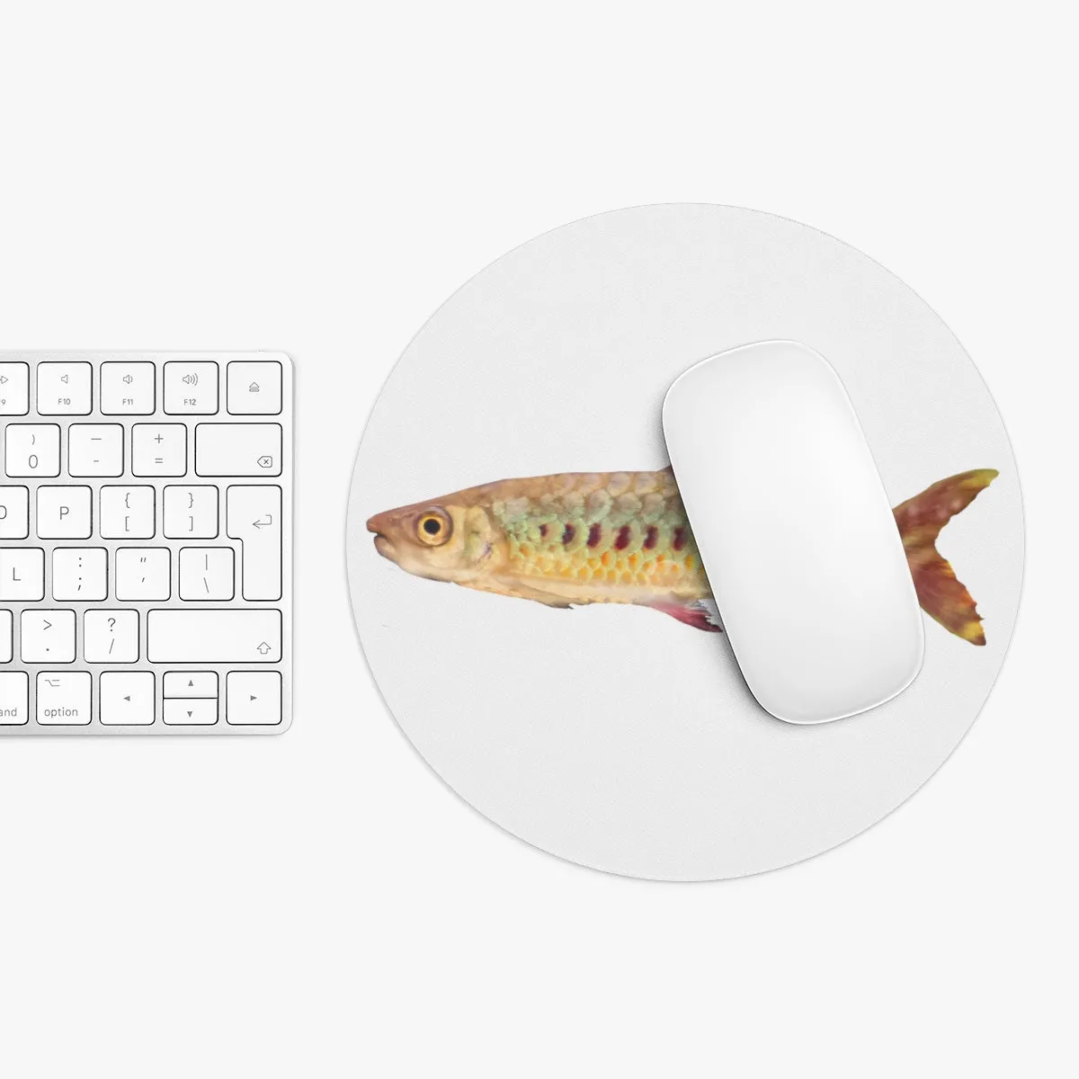 Colorful Fish Mouse Pad