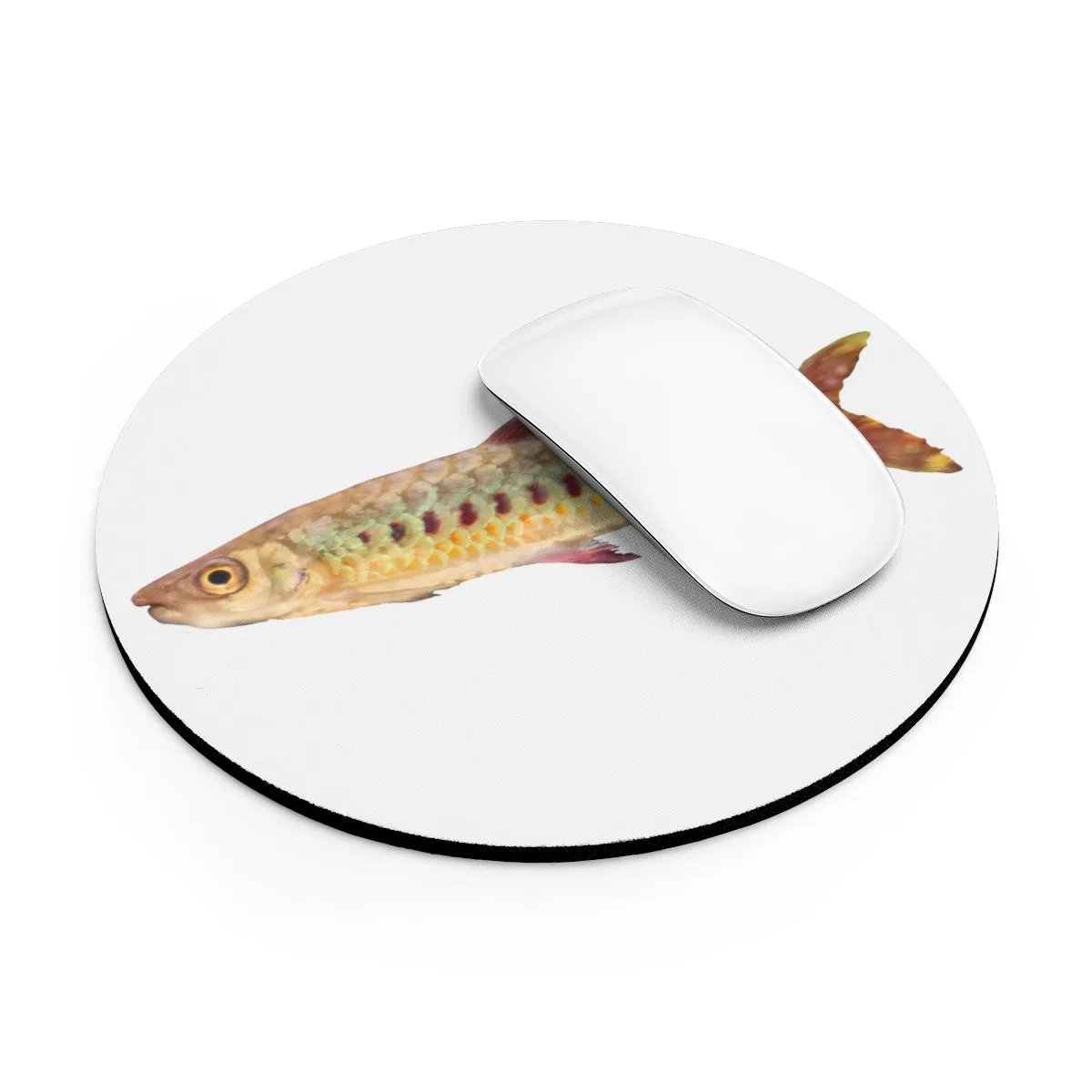 Colorful Fish Mouse Pad