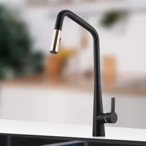 COSA Pull Out Kitchen Mixer with Veggie Spray