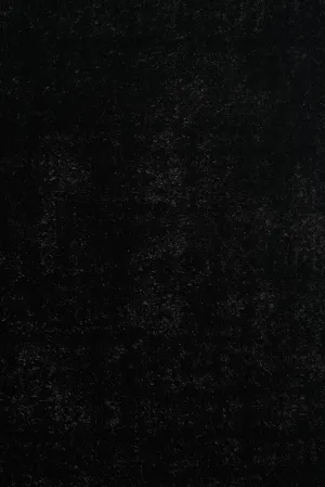 Modern Black Spaghetti Shag Area Rug