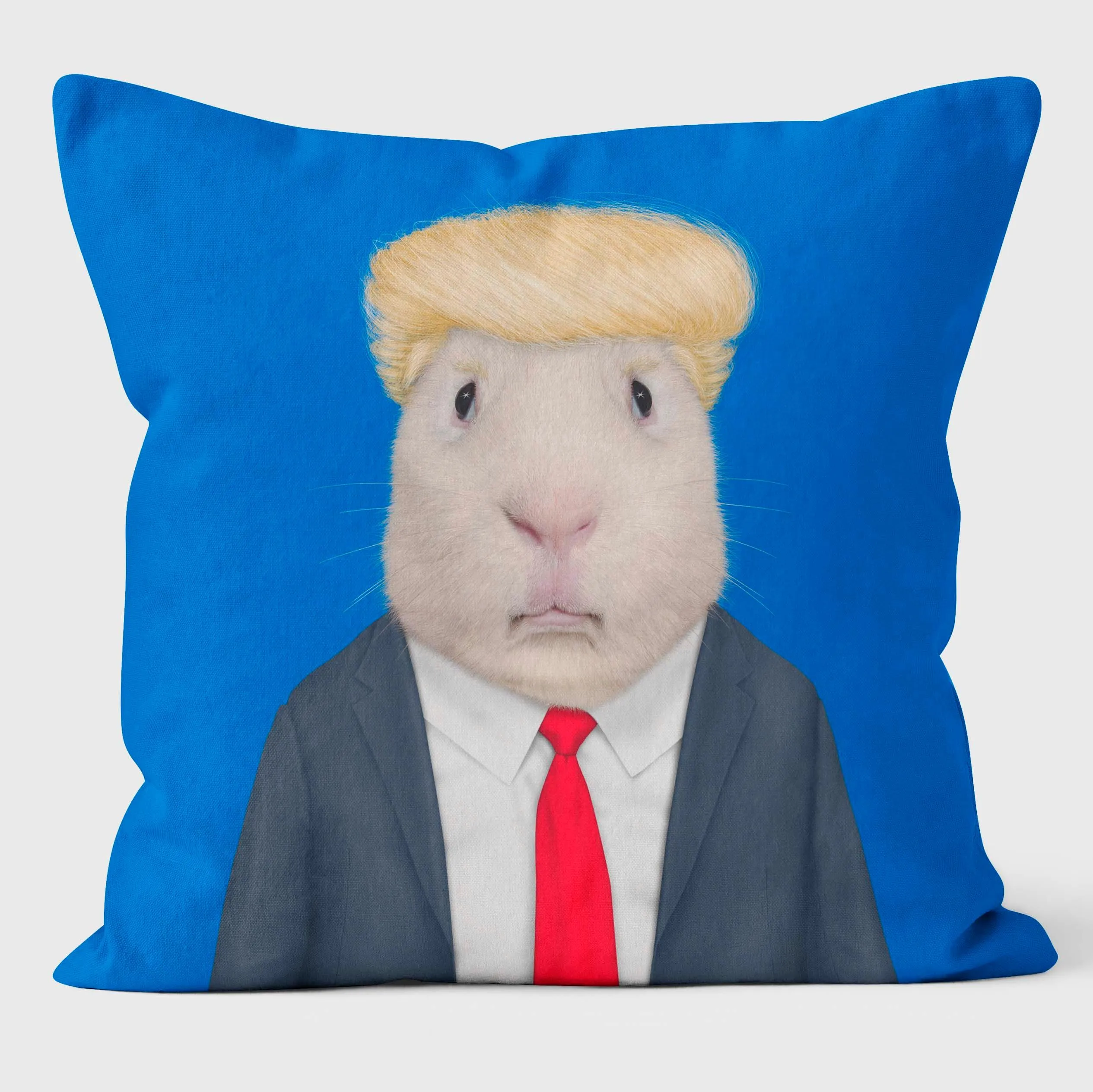 Mr Orange - Pets Rock Cushion