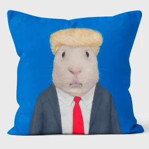 Mr Orange - Pets Rock Cushion
