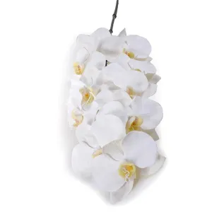 Phalaenopsis Orchid x 10 Stem 42"L