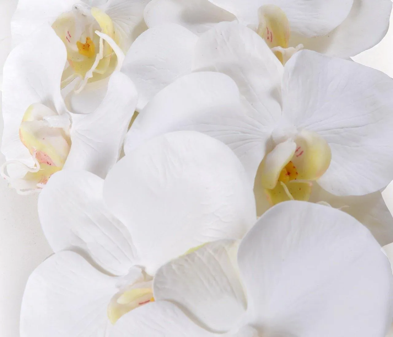 Phalaenopsis Orchid x 10 Stem 42"L