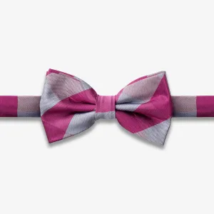 Pink and Gray Striped BoTie