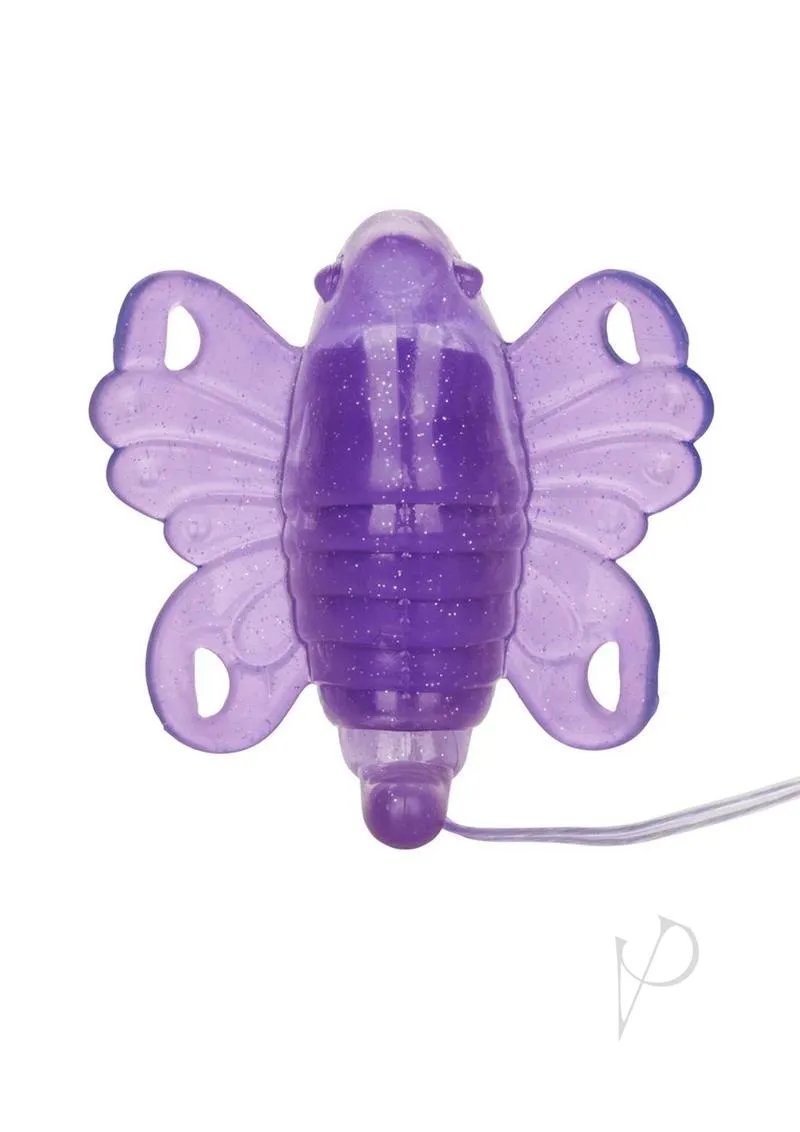 Venus Butterfly Ii Purple