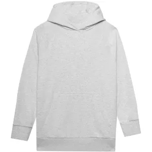 Women's Sweatshirt 4F F0955 Cool Light Gray Melange 4Fwss24tswsf0955 27M L