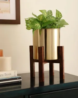 Wooden Arbor Stainless Steel Copper Planter