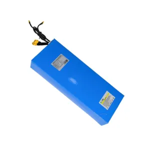 ZERO 10X Battery